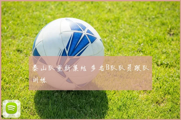 泰山队重新集结 多名B队队员跟队训练