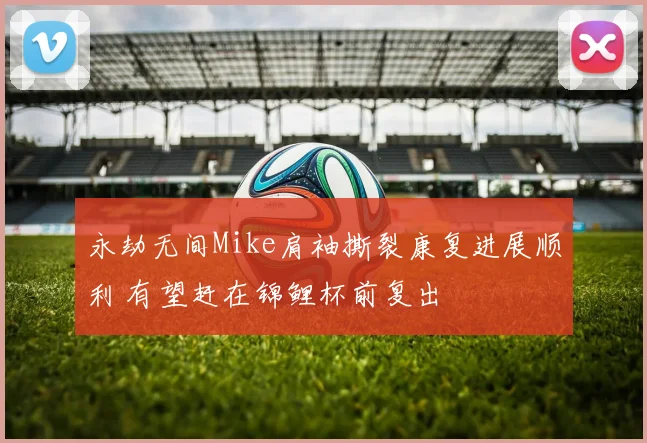 永劫无间Mike肩袖撕裂康复进展顺利 有望赶在锦鲤杯前复出