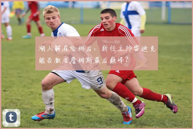 湖人解雇哈姆后，新任主帅雷迪克能否激活詹姆斯最后巅峰？